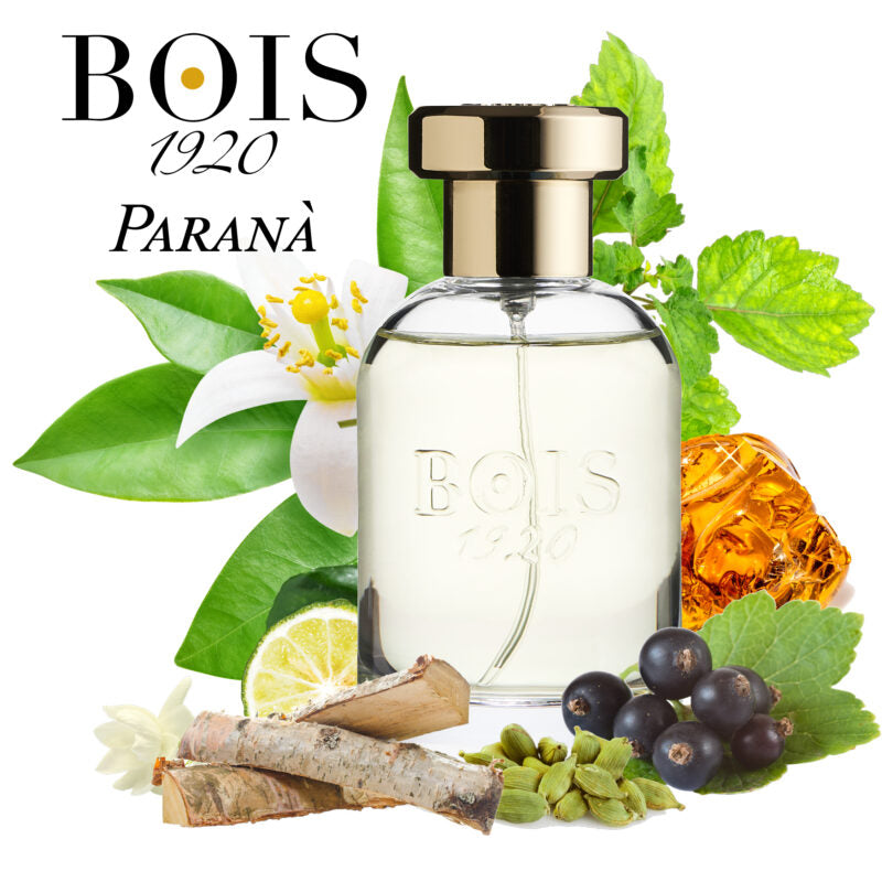 BOIS 1920 PARANA'