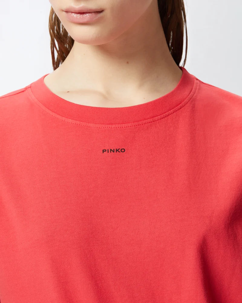 Pinko BASICO T-SHIRT JERSEY OLD WASH 25