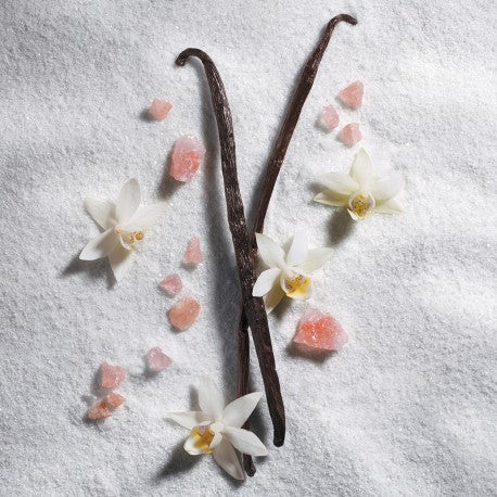 JULIETTE HAS A GUN Vanilla Vibes