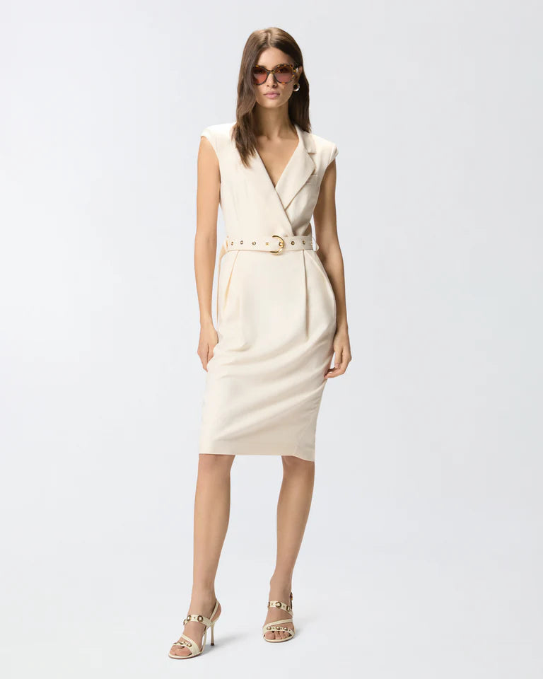 Pinko  AMADINE ABITO FRISOTTINO SS26