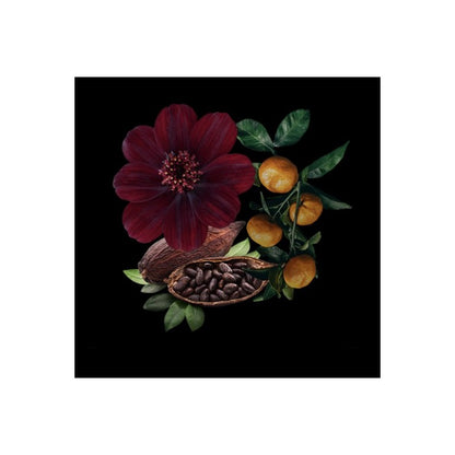 CLIVE CHRISTIAN VII COSMOS FLOWER
